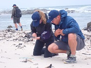 Hermanus