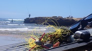 Ghost Fishing